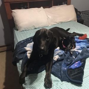 Meet your Posher, Cara